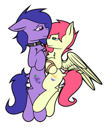 Size: 2048x2448 | Tagged: safe, artist:bitrate16, oc, oc:eclipse flight, oc:grapie, species:earth pony, species:pegasus, species:pony, collar, earth pony oc, female, lead, leash, looking at each other, male, mare, pegasus oc, shipping, simple background, smiling, stallion, transparent background, vector, wings
