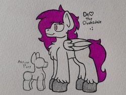 Size: 2372x1779 | Tagged: safe, artist:drheartdoodles, oc, oc only, oc:dr.heart, species:pegasus, species:pony, background pony, chest fluff, clydesdale, reference, reference sheet, size difference, smiling, solo, traditional art