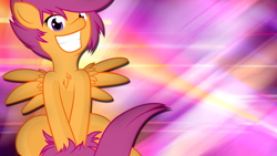 Size: 1920x1080 | Tagged: safe, artist:knifeh, artist:overmare, character:scootaloo, species:pegasus, species:pony, chest fluff, vector, wallpaper