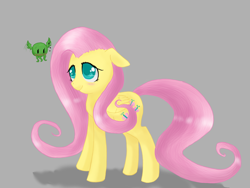 Size: 1600x1200 | Tagged: safe, artist:tomat-in-cup, character:fluttershy, species:pegasus, species:pony, blushing, cthulhu, duo, female, gray background, mare, simple background