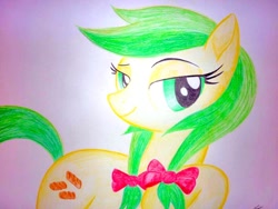 Size: 1024x768 | Tagged: safe, artist:bludraconoid, character:apple fritter, apple family member, female, solo, traditional art