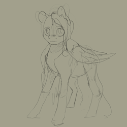 Size: 748x748 | Tagged: safe, artist:erijt, character:fluttershy, female, monochrome, sketch, solo