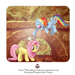 Size: 1600x1600 | Tagged: dead source, safe, artist:tiffanymarsou, character:fluttershy, character:rainbow dash, archway, irl, photo, ponies in real life, turtle