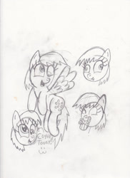 Size: 763x1048 | Tagged: safe, artist:toon-n-crossover, character:derpy hooves, species:pegasus, species:pony, doodles, female, mare, monochrome, reference sheet, sketch