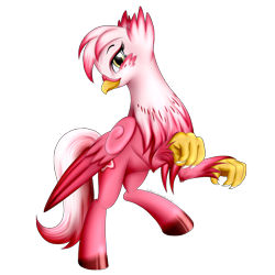Size: 1700x1700 | Tagged: safe, artist:bludraconoid, oc, oc only, oc:stargazer, species:classical hippogriff, species:griffon, species:hippogriff, simple background, solo, transparent background