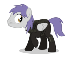 Size: 1024x768 | Tagged: safe, artist:misteraibo, oc, oc only, oc:sky raider, species:pegasus, species:pony, fallout equestria, male, simple background, sky raider, solo, transparent background, vector