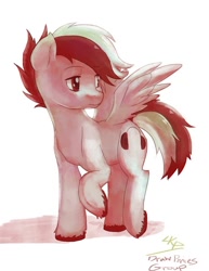 Size: 740x960 | Tagged: safe, artist:paradoxbroken, oc, oc only, oc:axel, axelthebrony, request, solo, unshorn fetlocks