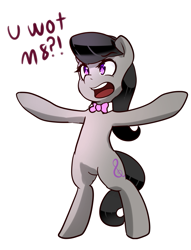 Size: 689x900 | Tagged: safe, artist:acharmingpony, character:octavia melody, species:earth pony, species:pony, angry, backwards cutie mark, bow, bow tie, cockney, female, mare, octchavia, open mouth, reaction image, simple background, solo, u wot m8, white background