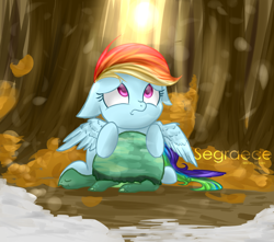 Size: 1452x1281 | Tagged: safe, artist:segraece, character:rainbow dash, character:tank, episode:tanks for the memories, g4, my little pony: friendship is magic, animal, fanart, floppy ears, looking away, looking up, sad