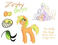 Size: 1550x1200 | Tagged: safe, artist:hippykat13, oc, oc only, oc:zesty grin, height difference, reference sheet, solo