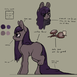 Size: 1280x1279 | Tagged: safe, artist:erijt, oc, oc only, oc:sable, mushroom, reference sheet, solo