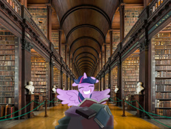 Size: 1280x967 | Tagged: safe, artist:mamandil, artist:uponia, character:twilight sparkle, character:twilight sparkle (alicorn), species:alicorn, species:pony, big smile, book, bookgasm, bust, dublin, female, ireland, irl, library, mare, photo, ponies in real life, that pony sure does love books, trinity library, twilight's joy, vector