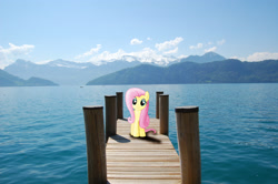 Size: 3008x2000 | Tagged: safe, artist:baumkuchenpony, artist:uponia, character:fluttershy, irl, lake, lake lucerne, photo, pier, ponies in real life, solo, switzerland, vector