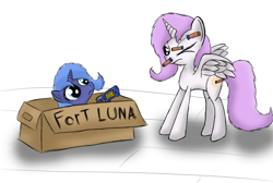 Size: 1125x755 | Tagged: dead source, safe, artist:ninjapony, character:princess celestia, character:princess luna, species:alicorn, species:pony, box, box fort, cewestia, cute, cutelestia, duo, filly, fort luna, lunabetes, nerf, nerf gun, nerf maverick, pink-mane celestia, pony in a box, sisters, woona, younger