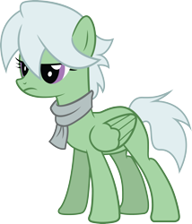 Size: 2426x2835 | Tagged: safe, artist:duskthebatpack, oc, oc only, oc:emerald bulwark, species:pegasus, species:pony, clothing, female, mare, scarf, simple background, solo, transparent background, vector