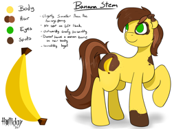 Size: 1280x960 | Tagged: safe, artist:holliday, oc, oc only, oc:banana stem, reference sheet, solo
