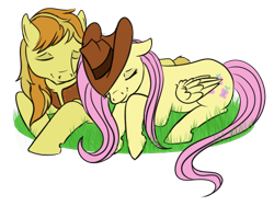 Size: 500x375 | Tagged: safe, artist:karmadash, character:braeburn, character:fluttershy, ship:braeshy, clothing, commission, female, hat, male, shipping, straight
