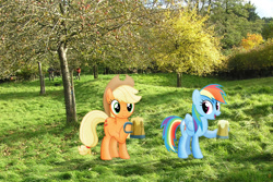 Size: 1600x1068 | Tagged: safe, artist:mysteriouskaos, artist:sakatagintoki117, artist:uponia, character:applejack, character:rainbow dash, species:human, species:pony, apple cider (drink), apple orchard, clothing, cowboy hat, england, hat, irl, open mouth, photo, ponies in real life, smiling, somerset, stetson, tankard, vector