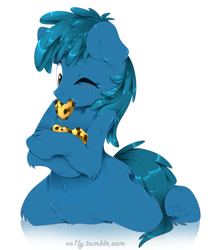 Size: 1024x1231 | Tagged: safe, artist:va1ly, species:earth pony, species:pony, belly fluff, blushing, cookie, cookie monster, crumbs, cute, eating, fluffy, food, leg fluff, male, nom, one eye closed, ponified, shoulder fluff, signature, simple background, solo, stallion, unshorn fetlocks, white background, wink