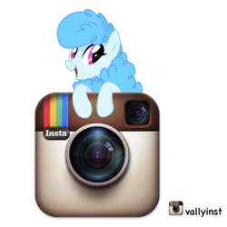 Size: 800x800 | Tagged: safe, artist:va1ly, oc, oc only, oc:curly mane, instagram, solo
