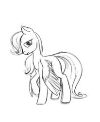 Size: 800x970 | Tagged: safe, artist:28gooddays, character:fluttershy, blank flank, filly, hair over one eye, looking at you, monochrome, raised hoof, simple background, sketch, spread wings, white background, wings, young