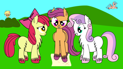 Size: 5760x3240 | Tagged: safe, artist:dinkyuniverse, character:apple bloom, character:mango dash, character:scootaloo, character:sweetie belle, species:pegasus, species:pony, hooves, mango dash, peachy petal, unshorn fetlocks