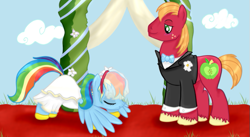 Size: 665x365 | Tagged: safe, artist:karmadash, character:big mcintosh, character:rainbow dash, species:earth pony, species:pony, ship:rainbowmac, clothing, crack shipping, dress, male, marriage, shipping, stallion, straight, suit, wedding, wedding dress, wedding veil