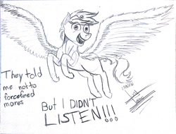 Size: 1024x778 | Tagged: safe, artist:scarlett-letter, oc, oc only, species:pegasus, species:pony, commission, exploitable meme, faec, flying, i didn't listen, image macro, majestic, meme, monochrome, solo, spread wings, traditional art, wings