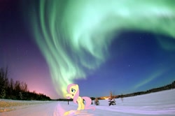 Size: 882x587 | Tagged: safe, artist:riofluttershy, character:fluttershy, aurora borealis, irl, photo, ponies in real life, snow, solo, winter