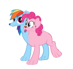 Size: 836x785 | Tagged: source needed, useless source url, safe, artist:theunknowenone1, character:pinkie pie, character:rainbow dash, species:dog, conjoined, fusion, multiple heads, orthros, puppy pie, rainbow dog, simple background, species swap, two heads, white background