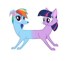 Size: 903x729 | Tagged: safe, artist:theunknowenone1, character:rainbow dash, character:twilight sparkle, species:dog, cat, catdog, conjoined, fusion, multiple heads, pushmi-pullyu, rainbow dog, simple background, species swap, twilight cat, two heads, white background