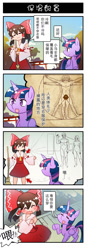 Size: 660x1867 | Tagged: safe, artist:sweetsound, character:twilight sparkle, character:twilight sparkle (alicorn), species:alicorn, species:pony, 4koma, barbie doll anatomy, chinese, comic, crossover, hakurei reimu, pioneer plaque, touhou, translated in the comments, vitruvian man