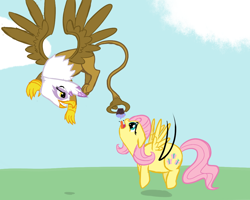 Size: 1000x800 | Tagged: safe, artist:tanmansmantan, character:fluttershy, character:gilda, species:griffon, species:pegasus, species:pony, ship:gildashy, cupcake, exercise, fat, fattershy, female, flying, food, lesbian, mare, prehensile tail, shipping, tail hold, teasing