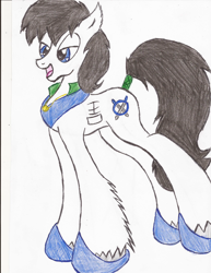 Size: 1700x2200 | Tagged: safe, artist:wyren367, oc, oc only, oc:blade, species:pony, colored pencil drawing, horseshoes, male, solo, stallion, traditional art, unshorn fetlocks