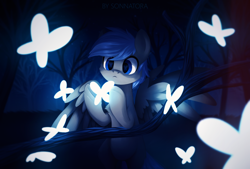 Size: 1920x1300 | Tagged: safe, artist:sonnatora, oc, oc only, oc:silver lining, species:pegasus, species:pony, butterfly, forest, male, night, solo, stallion, ych result