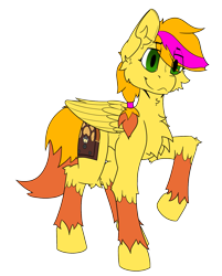 Size: 1289x1600 | Tagged: safe, artist:starrypallet, oc, oc only, oc:obsolete tech, species:pegasus, species:pony, 2018 community collab, derpibooru community collaboration, chest fluff, ear fluff, fluffy, male, simple background, solo, stallion, transparent background