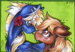 Size: 1024x710 | Tagged: safe, artist:scootiegp, oc, oc only, oc:kamix, oc:tachick, species:earth pony, species:pegasus, species:pony, age difference, blushing, flower, flower in mouth, gay, height difference, male, rose, rose in mouth, shipping, signature, simple background, smiling, stallion