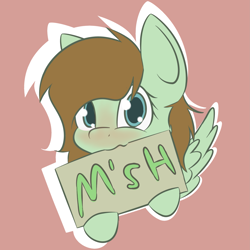 Size: 2811x2811 | Tagged: safe, artist:lofis, oc, oc:mint chocolate, species:pegasus, species:pony, advertisement, blushing, cute, discord (software), female, holding, looking at you, mare, nibbling, sign, solo, spread wings, text, wings, writing