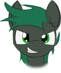 Size: 435x522 | Tagged: safe, artist:lofis, derpibooru original, oc, oc only, oc:minus, species:earth pony, species:pony, colored, green eyes, green mane, grin, head, looking at you, male, simple background, smiling, solo, transparent background