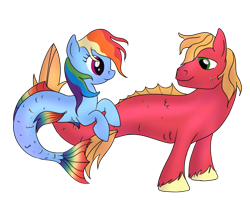 Size: 704x570 | Tagged: safe, artist:karmadash, character:big mcintosh, character:rainbow dash, species:pony, ship:rainbowmac, alternate design, digital art, duo, female, looking at each other, male, mare, merpony, shipping, simple background, stallion, straight, transparent background