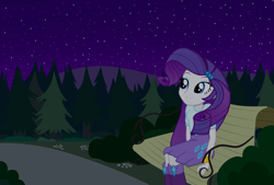 Size: 1024x691 | Tagged: safe, artist:tabrony23, character:rarity, my little pony:equestria girls, bench, clothing, female, flower, night, park, scenery, sitting, smiling, solo, stars, tree