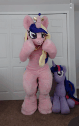 Size: 600x956 | Tagged: dead source, safe, artist:qtpony, character:princess cadance, character:twilight sparkle, species:pony, animated, butt shake, clap your hooves, clothing, cosplay, costume, cute, dancing, fursuit, irl, meme, no sound, photo, plushie, sunshine sunshine, video, webm