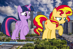 Size: 1550x1033 | Tagged: safe, artist:auskeldeo, artist:davidsfire, artist:godoffury, character:sunset shimmer, character:twilight sparkle, character:twilight sparkle (alicorn), species:alicorn, species:pony, beijing, building, china, giant ponies in real life, giant pony, highrise ponies, irl, looking down, macro, photo, ponies in real life, raised hoof, skyscraper, story included