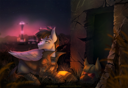 Size: 1500x1039 | Tagged: safe, artist:limreiart, oc, oc only, oc:silver whistle, species:pegasus, species:pony, fallout equestria, city, clothing, grass, helmet, male, ncr, ncr ranger, pipbuck, solo