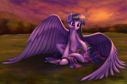Size: 3211x2134 | Tagged: safe, artist:stratodraw, character:spike, character:twilight sparkle, character:twilight sparkle (alicorn), species:alicorn, species:dragon, species:pony, belly button, big wings, female, grass field, high res, male, mare, scenery, spikelove, sunset, wings