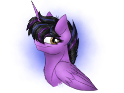 Size: 2048x1536 | Tagged: safe, artist:melonseed11, oc, oc only, oc:tillie, species:alicorn, species:pony, bust, female, mare, portrait, simple background, solo, transparent background