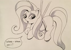 Size: 3543x2513 | Tagged: safe, artist:stammis, character:fluttershy, species:pony, confused, female, monochrome, rope, solo, suspended, traditional art, wingless