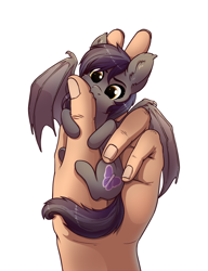 Size: 900x1170 | Tagged: safe, artist:28gooddays, oc, oc only, oc:umbra tempestas, species:bat pony, species:human, species:pony, g4, :3, bat pony oc, behaving like a bat, biting, cute, cute little fangs, cutie mark, dawwww, ear fluff, fangs, featured on derpibooru, female, hand, hnnng, holding a pony, hug, in goliath's palm, mare, micro, nom, ocbetes, simple background, smiling, smol, solo focus, spread wings, tiny, tiny ponies, underhoof, weapons-grade cute, white background, wings, ych result