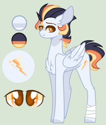 Size: 840x992 | Tagged: safe, artist:nocturnal-moonlight, oc, oc:spectrum rays, parent:soarin', parent:spitfire, parents:soarinfire, species:pegasus, species:pony, male, offspring, reference sheet, simple background, solo, stallion