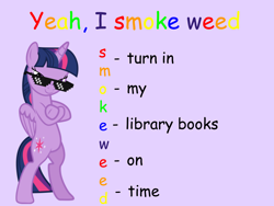 Size: 960x720 | Tagged: safe, artist:uponia, edit, editor:countcoltnackh, character:twilight sparkle, character:twilight sparkle (alicorn), species:alicorn, species:pony, acronym, bad acronyms, bipedal, caption, comic sans, crossed hooves, deal with it, edited edit, exploitable meme, female, fresh princess and friends' poses, fresh princess of friendship, image macro, meme, rainbow text, shit meme, shitposting, simple background, smug, solo, sunglasses, text, the fresh prince of bel-air, vector